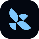 LangChain / LangSmith logo