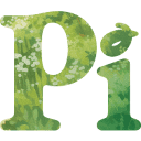 Inflection Pi logo