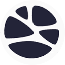 Emergence AI logo