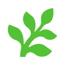 Fern logo