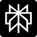 Perplexity AI logo